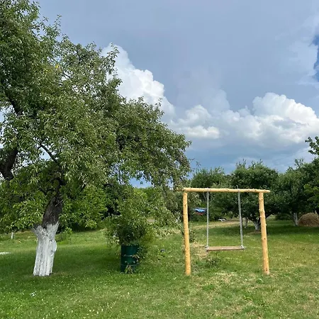 Dom wakacyjny Vikendica Kosta